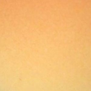 Meet your Posher, Camilo